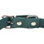 Gotoo Collar Biothane verde para perros, , large indicador imagen numero 5