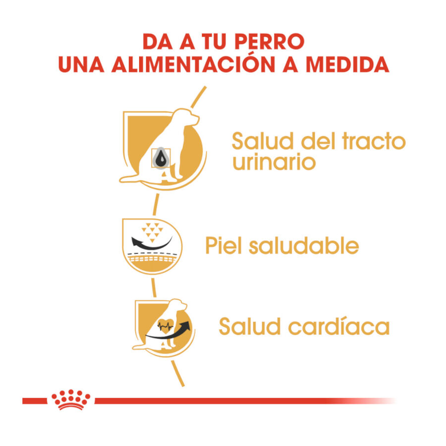 Royal Canin Adult Dálmata pienso para perros thumbnail