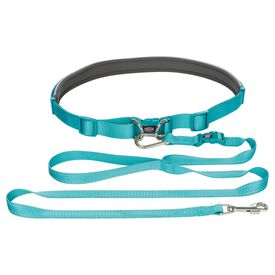 Correa con cinturón azul para perros