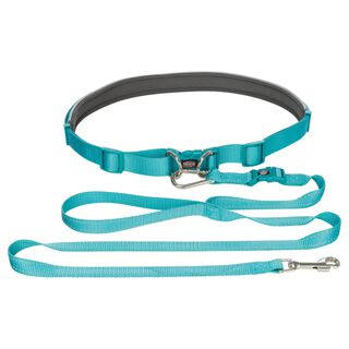 Correa con cinturón azul para perros