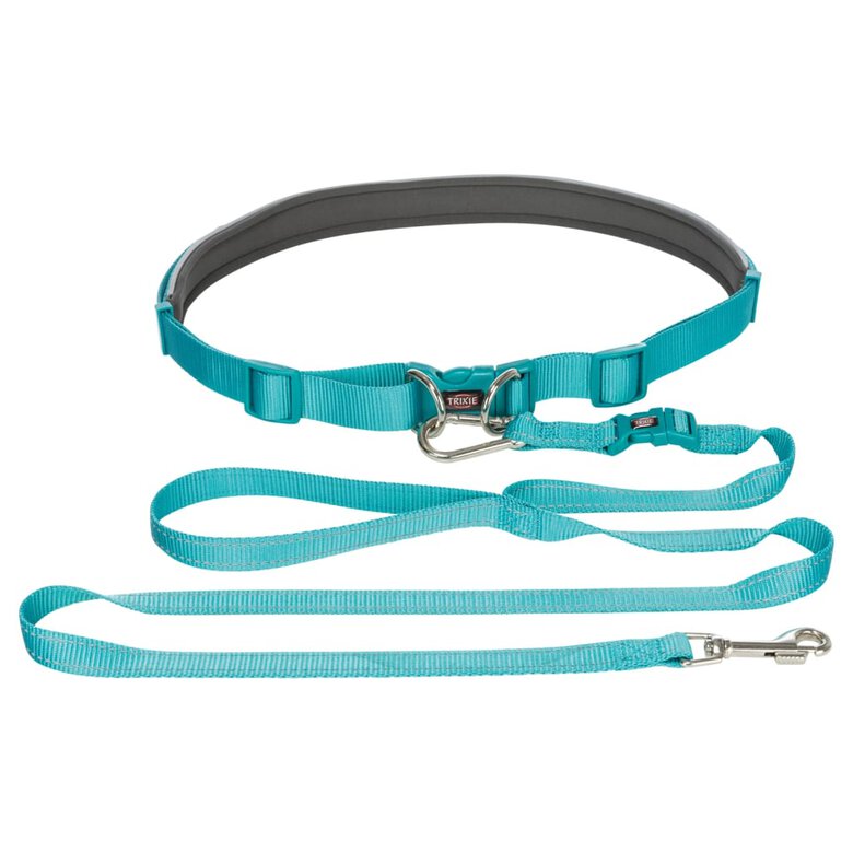 Correa con cinturón azul para perros, , large image number null