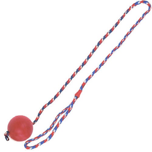 Flamingo pelota con cuerda para perros Imagen numero 1