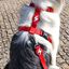 Correa de nylon para perros color Rojo, , large indicador imagen numero 4