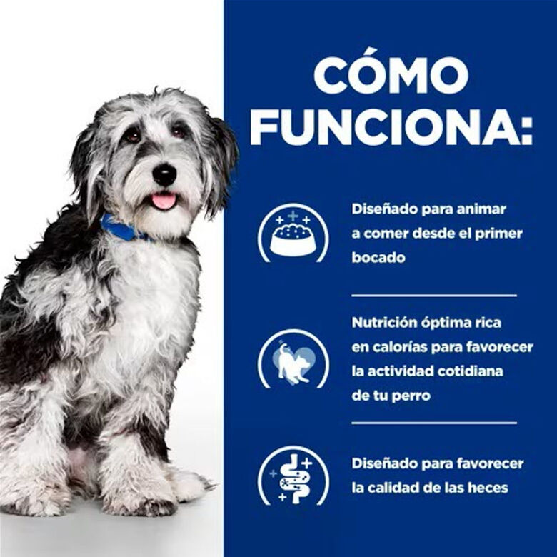 Hill&#039;s Prescription Diet ON-Care Pollo pienso para perros thumbnail