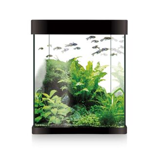 ICA Kit Nano Aqua Led