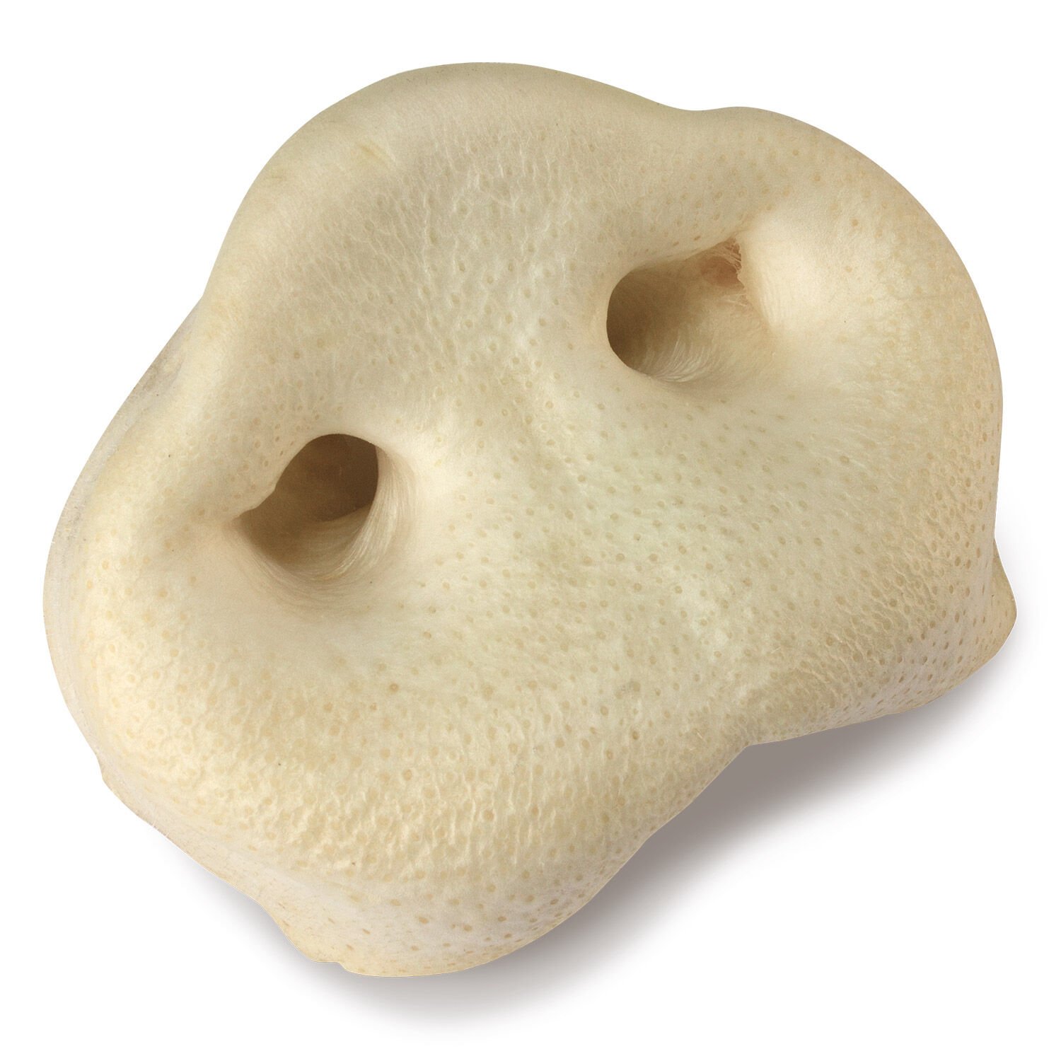 Morro de cerdo (bolsa de 20 unidades), , large Imagen numero 3