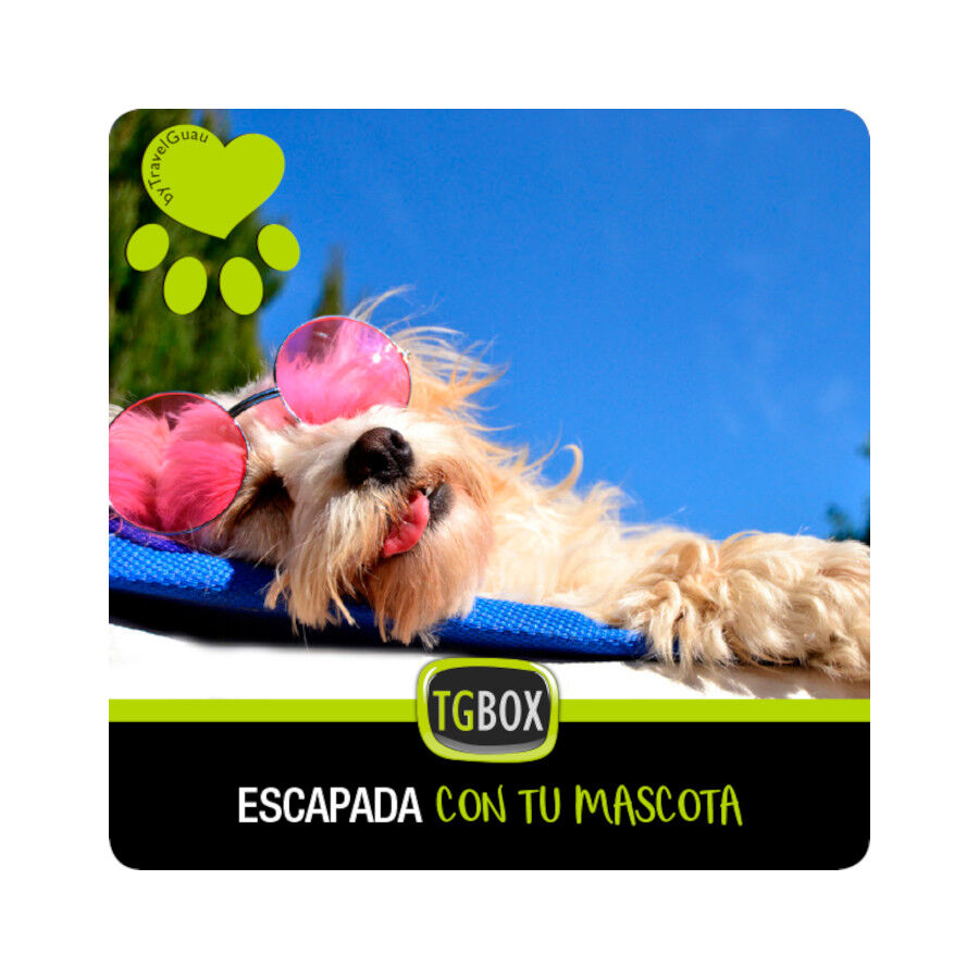 TGBOX Escapada con tu mascota, , large Imagen numero 1