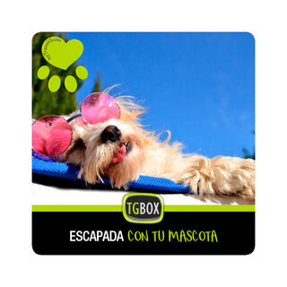 TGBOX Escapada con tu mascota