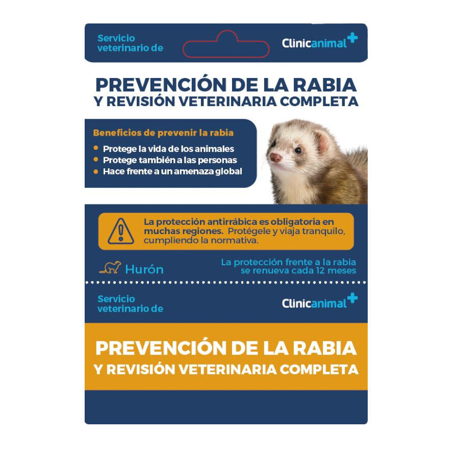 Tarjeta de prevenci&oacute;n de la rabia + revisi&oacute;n veterinaria completa para hurones, , large Imagen numero 1