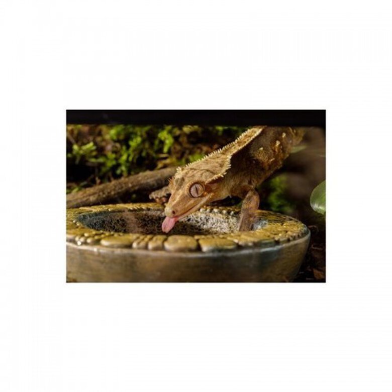 Comedero Azteca Exo-Terra , , large image number null