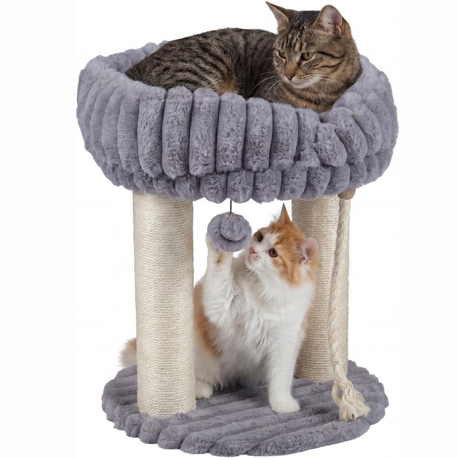 COSTWAY 40 x 40 x 50,5 cm &Aacute;rbol para Gatos Peque&ntilde;o (Gris) | Torre para Gatos con Plataforma Superior de Felpa, Rascadores de Sisal, Bola Colgante, Torre gato Interior para Mascotas, , large Imagen numero 1