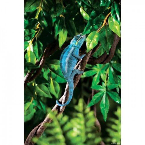 Exo Terra Jungle Vine Planta Liana para terrarios thumbnail