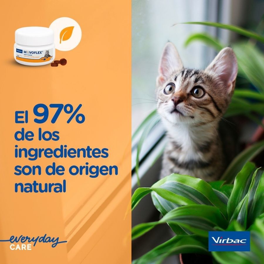 30 uds. Virbac Movoflex Soft Chews Suplemento para gatos, , large Imagen numero 7