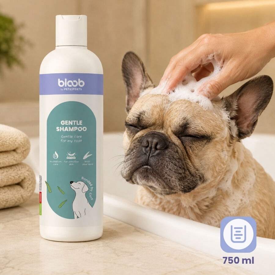 Bloob Champ&uacute; Piel Sensible Aloe Vera para perrros, , large Imagen numero 7