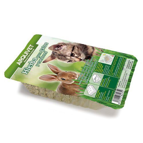 Hierba para gatos en bandeja sabor Neutro, , large Imagen numero 1