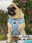 Arn&eacute;s Ajustable Doggysaurus, , large indicador imagen numero 5