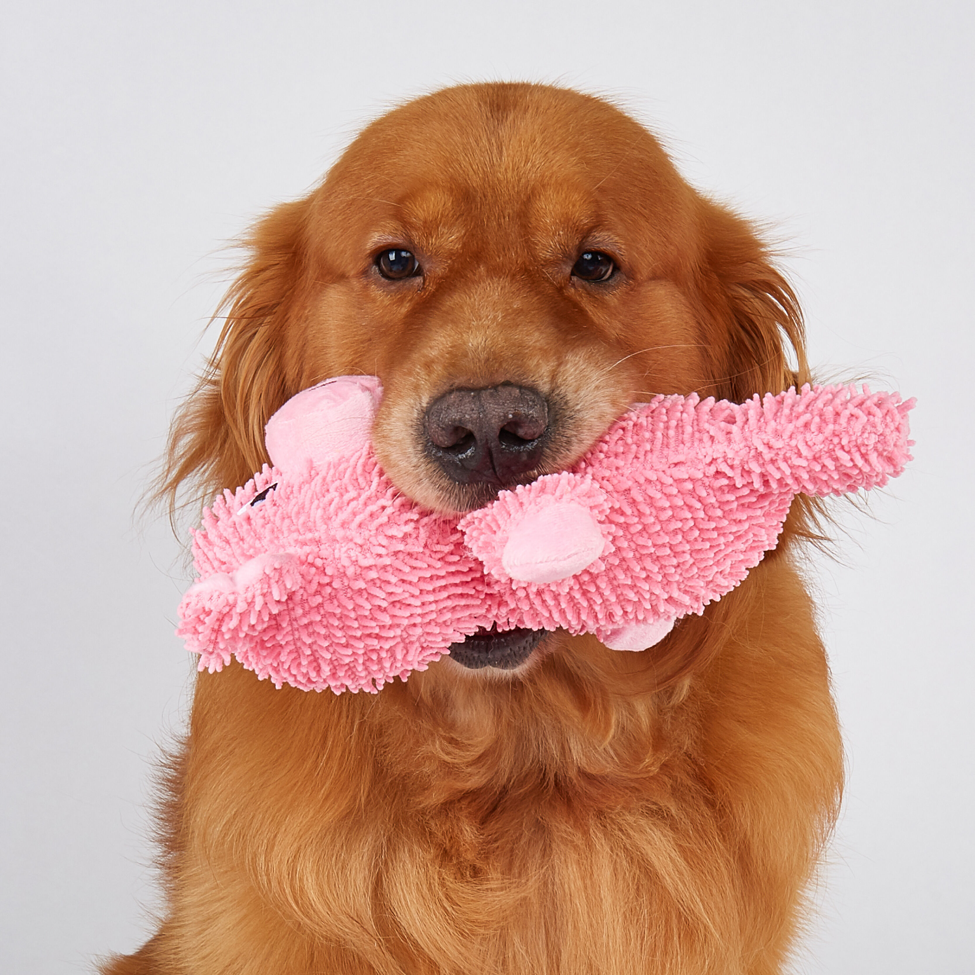 Juguete Resistente para Perro &ndash; Cerdito, , large Imagen numero 2