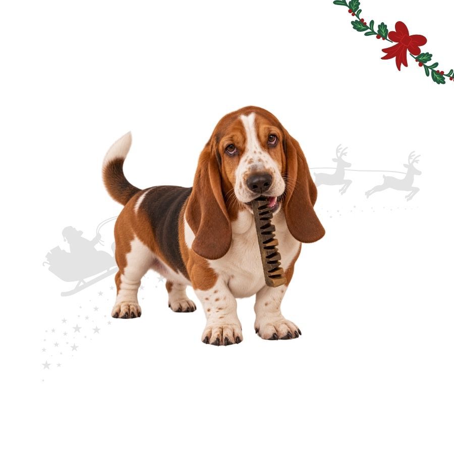 35 g Wonder Christmas Barritas Doglerone Snack para perros, , large Imagen numero 2