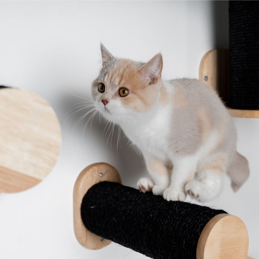 Muro Escalada Para Gatos - Set de Postes Sisal, , large Imagen numero 2