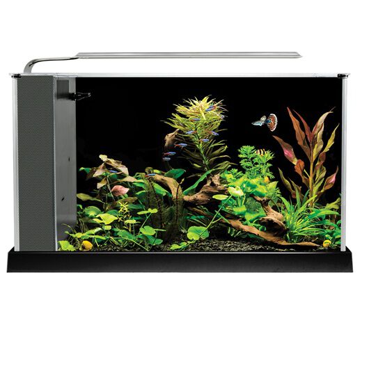 Fluval Spec Nano Acuario Negro, 19L, , large Imagen numero 2