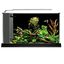 Fluval Spec Nano Acuario Negro, 19L, , large indicador imagen numero 2