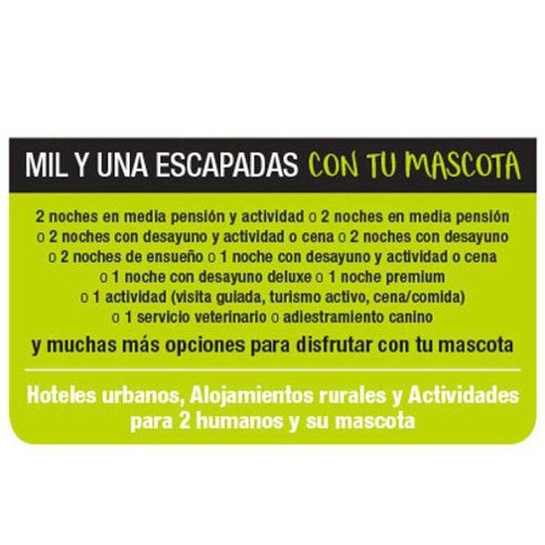 Mil y una escapadas con tu mascota TGBOX, , large image number null