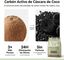 KURO & KAI Arena Aglomerante Natural para Gatos &ndash; Hueso de Oliva con Carb&oacute;n Activo, Sin Perfume, Poco Polvo, Pack 4 Unidades, 19,2 kg / 28 L, , large indicador imagen numero 3