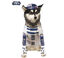 Disfraz Robot R2-D2 de Star Wars para perro, , large indicador imagen numero 2
