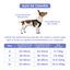 Arnés para perros con diseño ergonómico + Correa cómoda de EVA, , large indicador imagen numero 5
