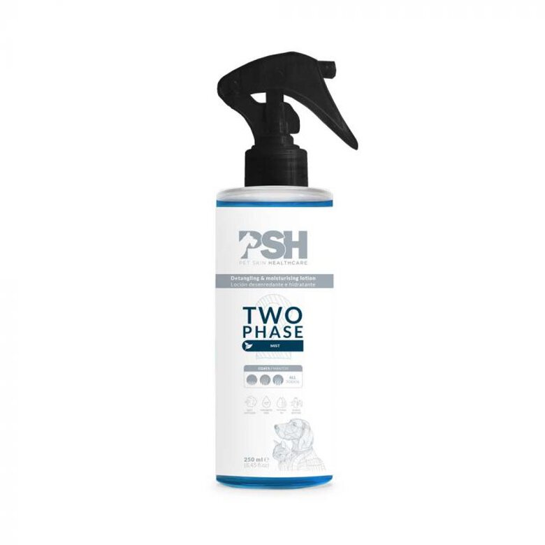 PSH Two Phase Mist