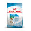 8 kg Royal Canin Starter MotheryBaby Mini pienso para perros, , large indicador imagen numero 1