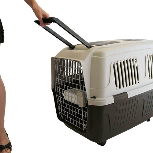 Ibañez Traveller Transportín I con ruedas para mascotas thumbnail