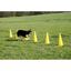Equipo de agility para perros color Amarillo, , large indicador imagen numero 5