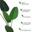 Outsunny Planta de Decoración Artificial de Palma Árbol Realista con Maceta 10 Hojas Ф18x180cm para Exterior e Interior No Requiere Instalación, , large indicador imagen numero 5