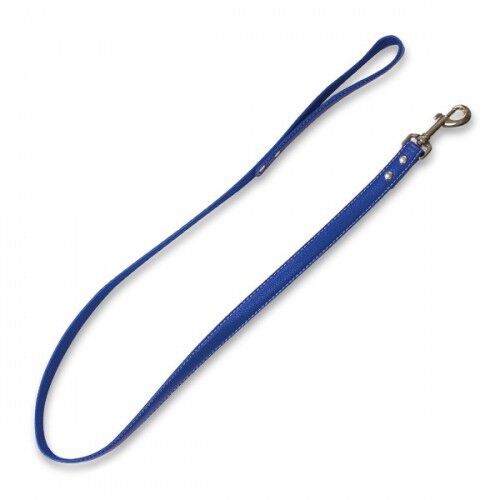 Correa piel huesitos color Azul, , large Imagen numero 1