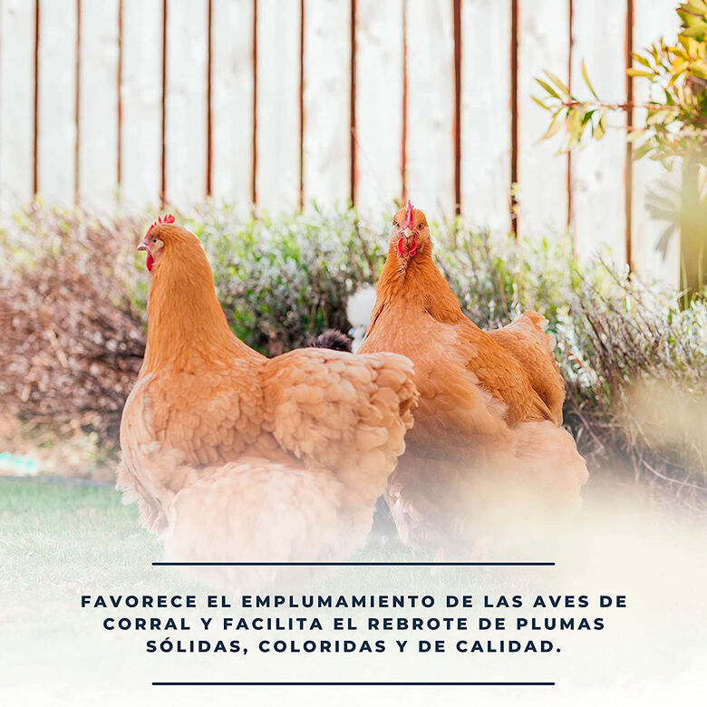 Finca casarejo solupluma vitaminas para la muda de las plumas thumbnail