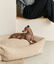 Cama perro borreguito, SNOZY, , large indicador imagen numero 3