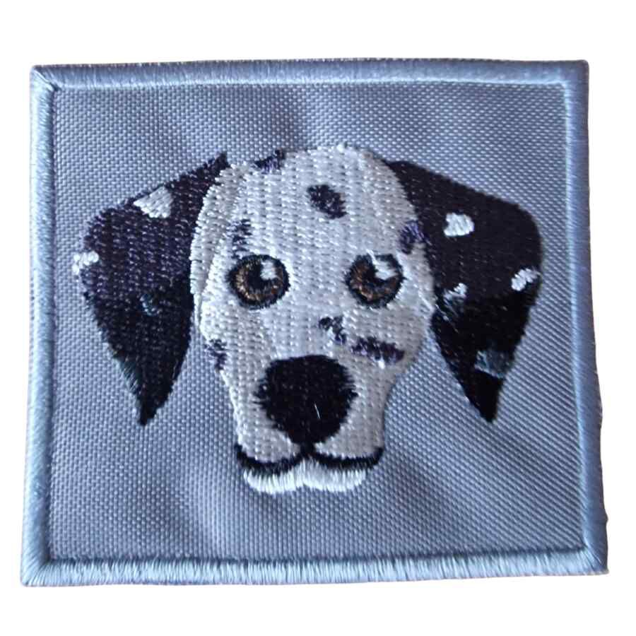 Individual parche perro dalmata