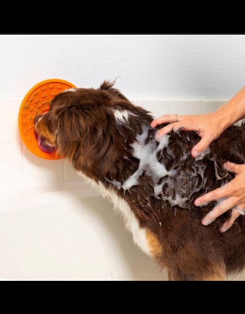 LickiMat Comedero Splash para perros thumbnail