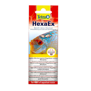 Tetra Medica HexaEx Hexamita tratamiento para peces