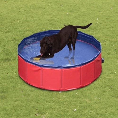 Piscina r&iacute;gida PawHut para mascotas color Rojo, , large Imagen numero 2