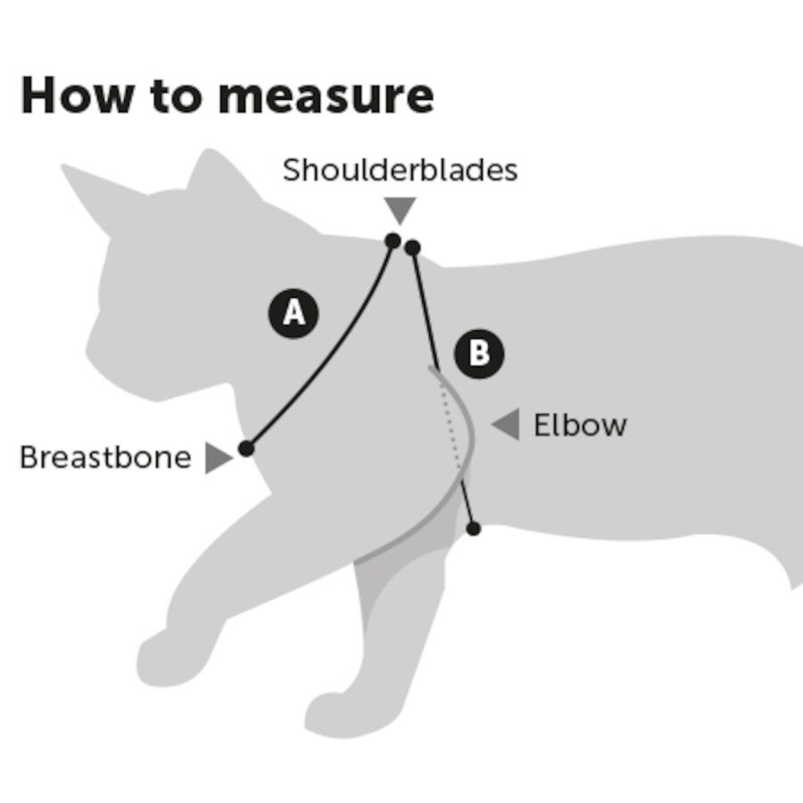 Flamingo Arn&eacute;s con Correa Negro para gatitos, , large Imagen numero 2