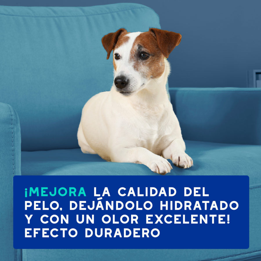 Ceva Douxo Spa Champú Antiolor para perros thumbnail