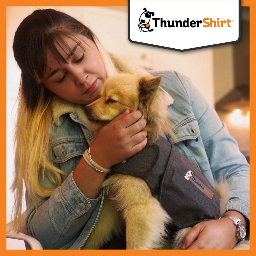 Thundershirt Camiseta Antiestrés Relajante para perros thumbnail