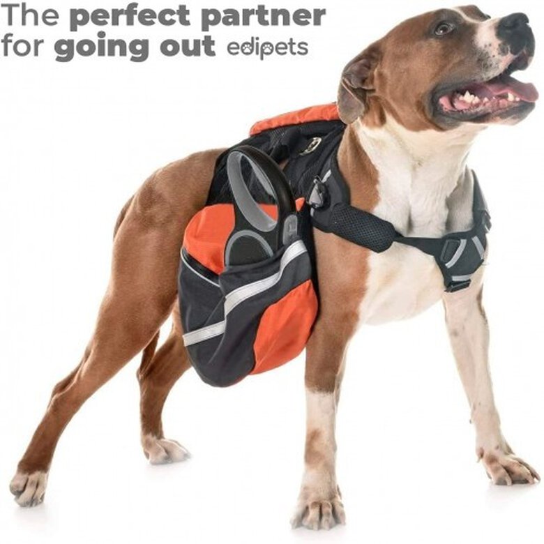 Edipets correa extensible ajustable gris y negro para perros, , large image number null