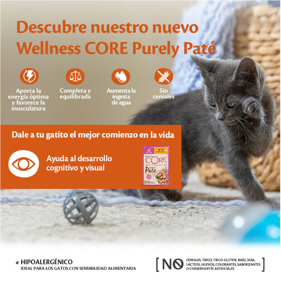 Wellness Core Kitten Pollo en Paté sobre para gatitos thumbnail