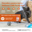 85 g Wellness Core Kitten Pollo en Paté sobre para gatitos, , large indicador imagen numero 3