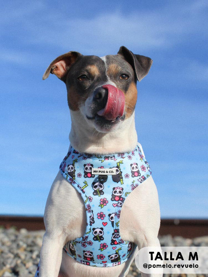 Arn&eacute;s Ajustable Panda, , large Imagen numero 10