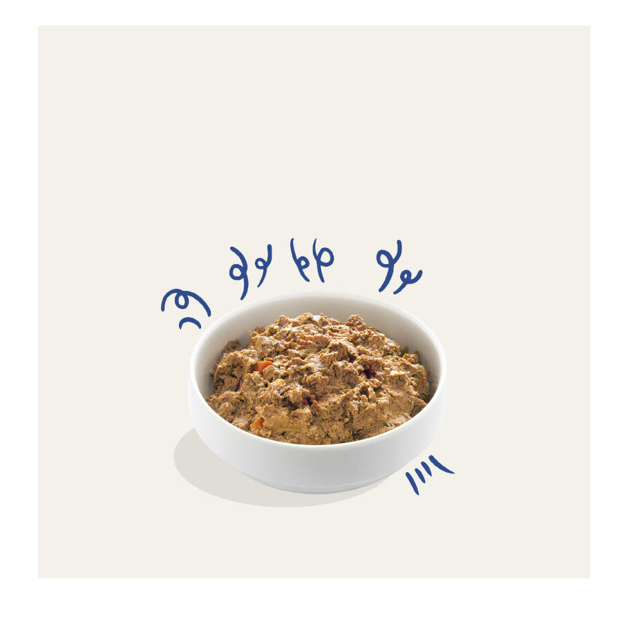 Edgard &amp; Cooper Salmón y Pavo tarrina para perros thumbnail