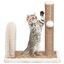 VidaXL Rascador con arco de cepillo para gatos color Marrón, , large indicador imagen numero 2